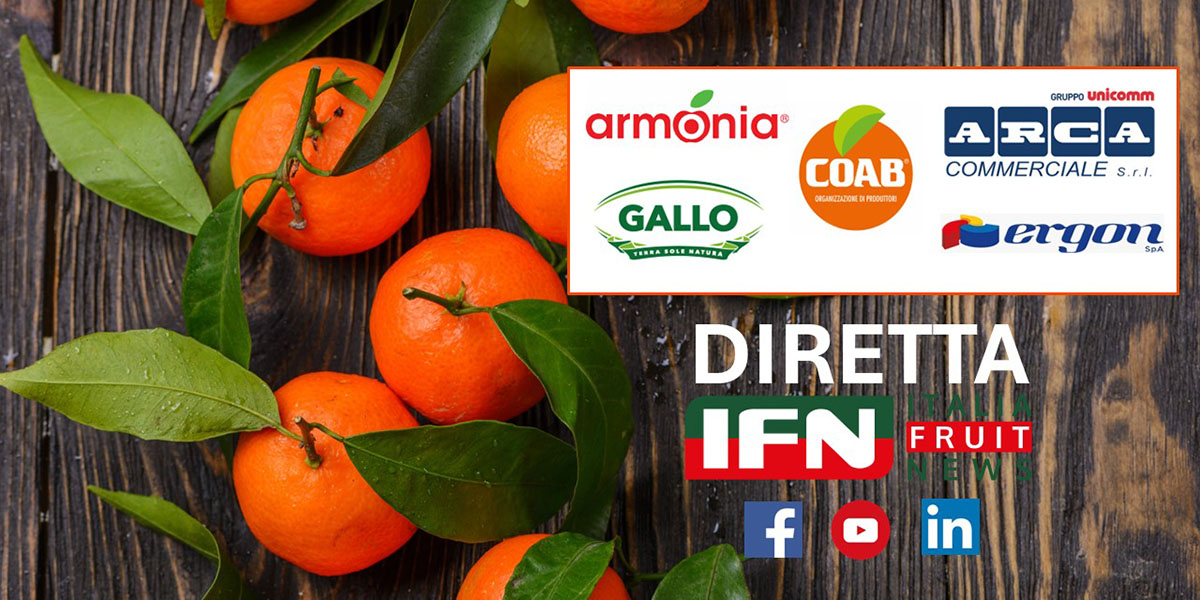 Clementine e mandarini: consumi e prezzi in crescita, vola l'export